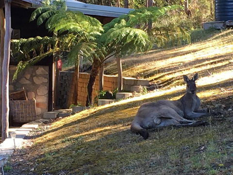 Kangaroo Valley Cottage - Accommodation Mooloolaba 3