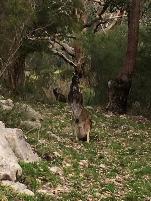 Kangaroo Valley Cottage - Accommodation Mooloolaba 17