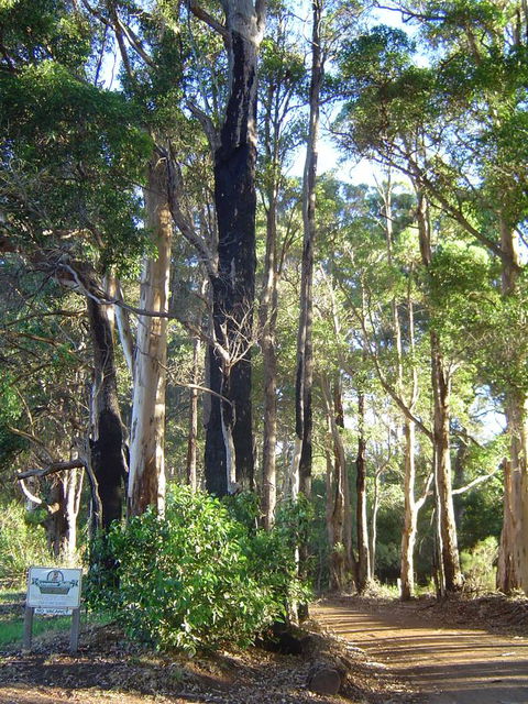 Kangaroo Valley Cottage - Accommodation Mooloolaba 21