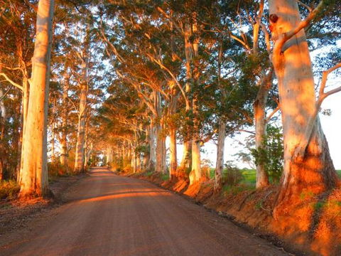 Innisfree Mountain Retreat - Accommodation Mooloolaba 10