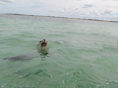 Island View Villas - Accommodation Mooloolaba 13