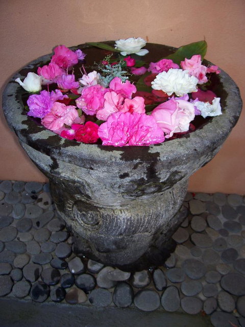 Riveresque - Accommodation Mooloolaba 15