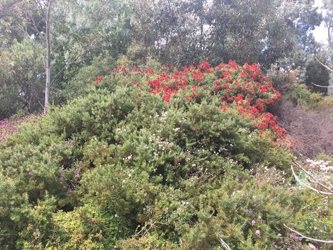 Tegwan's Nest Holiday Home - Accommodation Mooloolaba 42