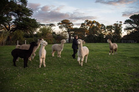 Celestine Retreat - Accommodation Mooloolaba 6