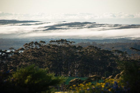 Celestine Retreat - Accommodation Mooloolaba 13