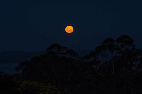 Celestine Retreat - Accommodation Mooloolaba 11