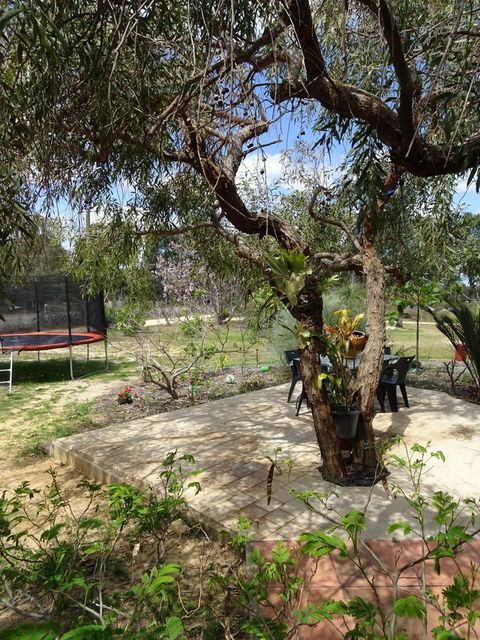 Majestichomestead B&B - Accommodation Mooloolaba 7