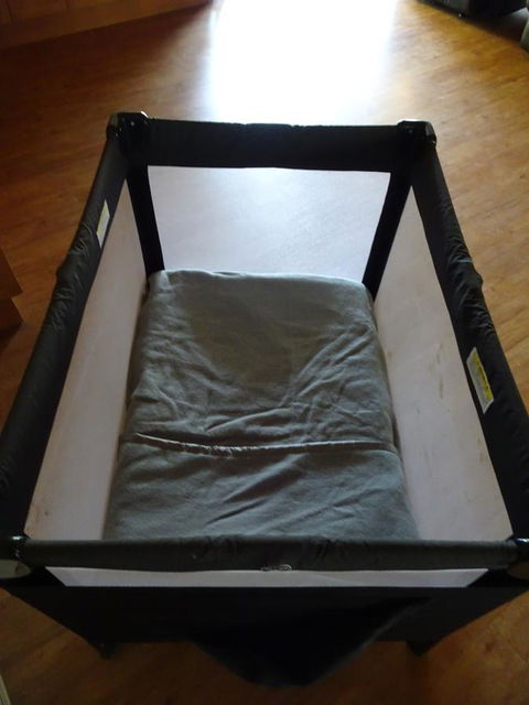 Majestichomestead B&B - Accommodation Mooloolaba 39