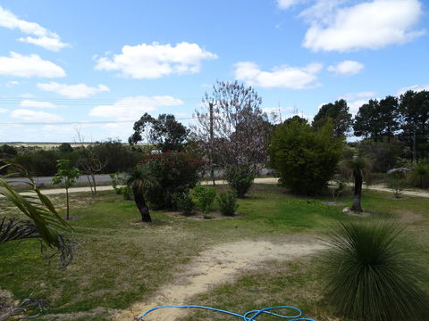 Majestichomestead B&B - Accommodation Mooloolaba 13