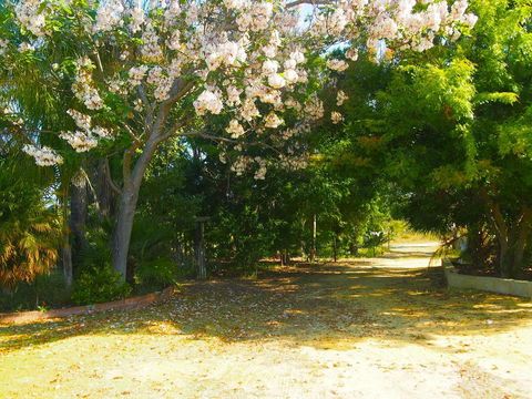 Majestichomestead B&B - Accommodation Mooloolaba 33