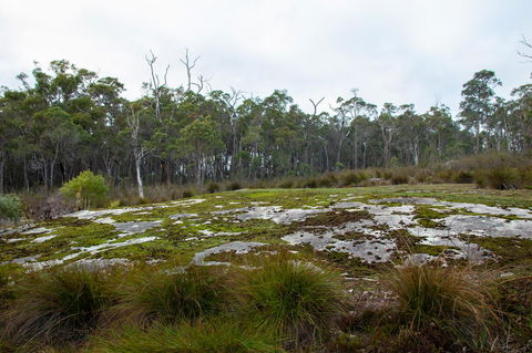 Denmark Forest Retreat - Accommodation Mooloolaba 26