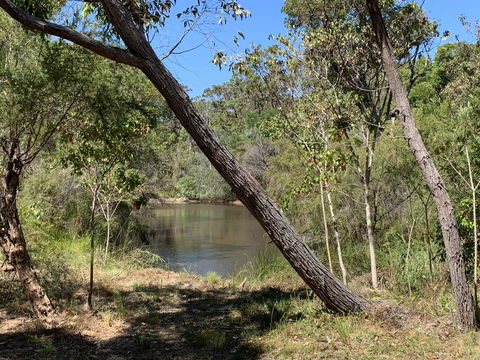Denmark Forest Retreat - Accommodation Mooloolaba 32