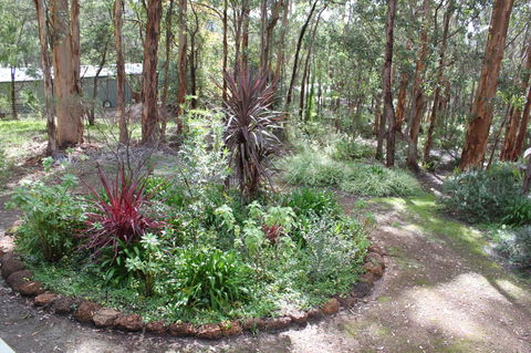 Francisca\'s Cottage - Accommodation Mooloolaba 2