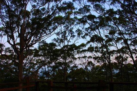 Ark Of Denmark - Accommodation Mooloolaba 27