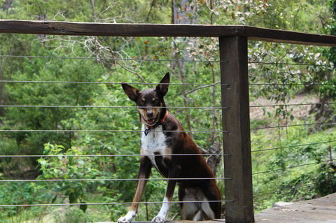 Ark Of Denmark - Accommodation Mooloolaba 10