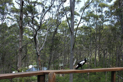 Ark Of Denmark - Accommodation Mooloolaba 11