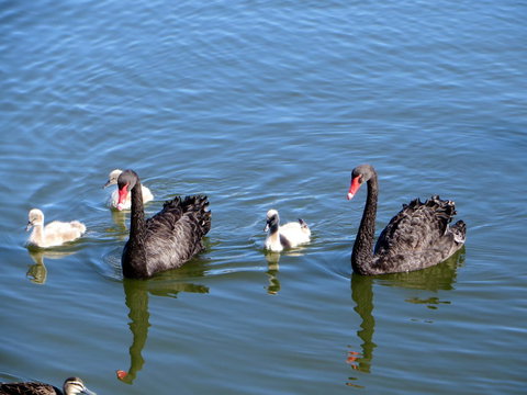 Yunderup Kannie Kottage - Accommodation Mooloolaba 3