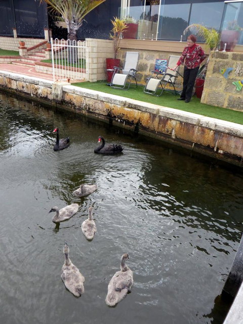 Yunderup Kannie Kottage - Accommodation Mooloolaba 14
