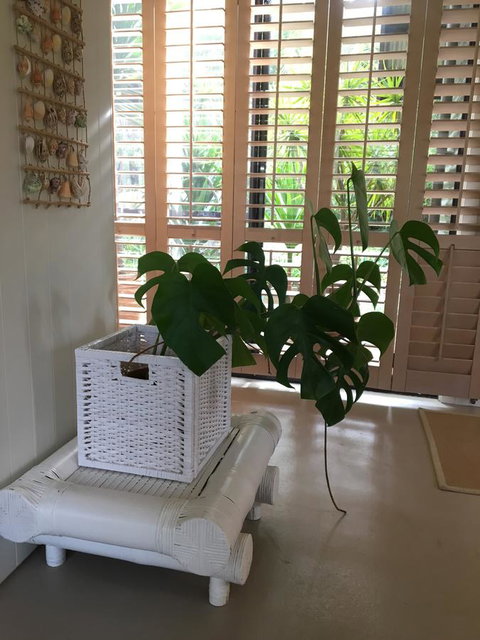 DESIGNER'S STUDIO - Accommodation Mooloolaba 5