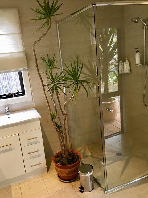 DESIGNER'S STUDIO - Accommodation Mooloolaba 11