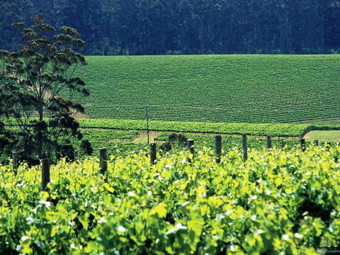 The Pemberton Hotel - Accommodation Mooloolaba 5