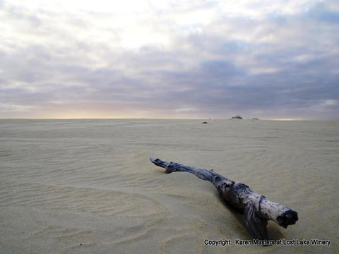 The Pemberton Hotel - Accommodation Mooloolaba 40