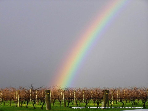 The Pemberton Hotel - Accommodation Mooloolaba 41