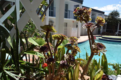 West Beach Lagoon 213 - Corner Unit! - Accommodation Mooloolaba 12