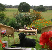 Silversprings cottages - Accommodation Mooloolaba