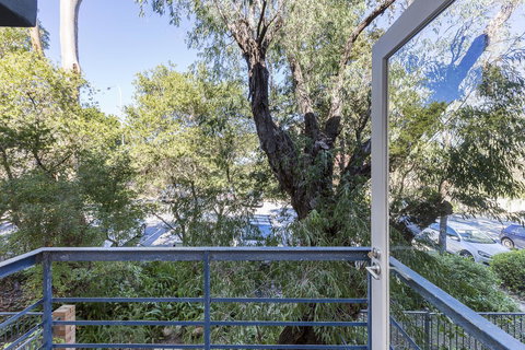 Cottesloe Tree Top Studio - Executive Escapes - Accommodation Mooloolaba 10