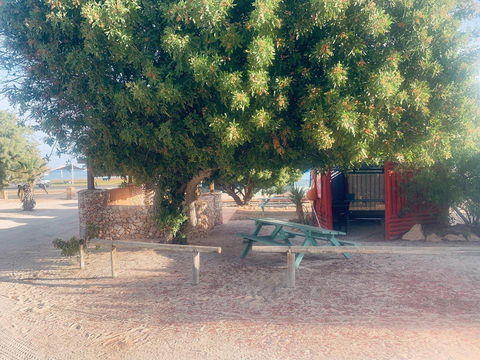 Shark Bay Cottages - Accommodation Mooloolaba 35