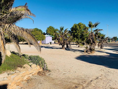 Shark Bay Cottages - Accommodation Mooloolaba 12