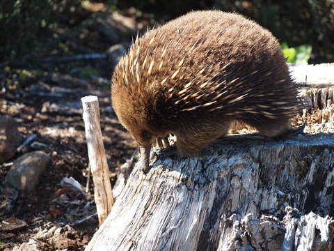 Erriba House - Accommodation Mooloolaba 14