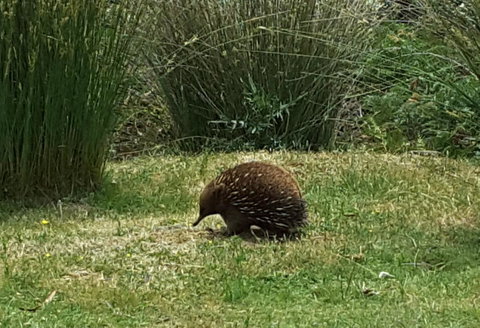 Erriba House - Accommodation Mooloolaba 10