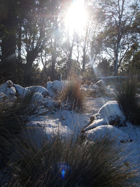 Erriba House - Accommodation Mooloolaba 9