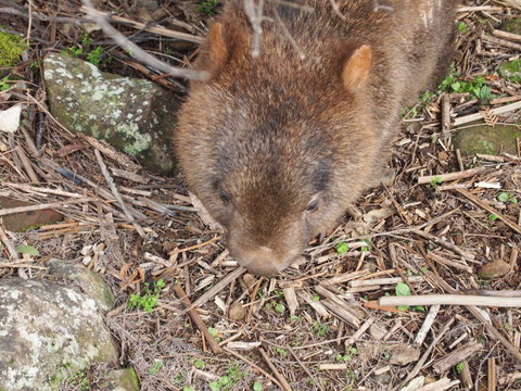 Erriba House - Accommodation Mooloolaba 8