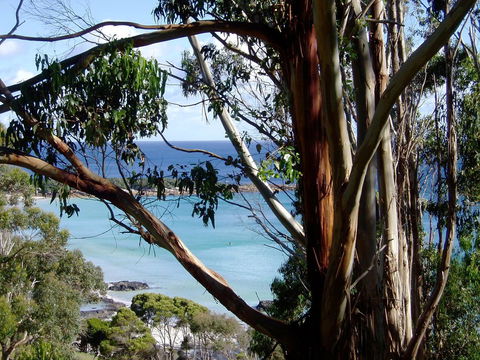 Seascape Beach House - Accommodation Mooloolaba 8