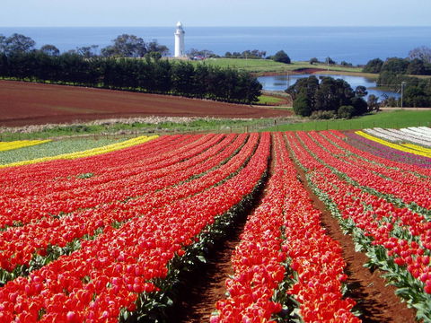 Seascape Beach House - Accommodation Mooloolaba 26