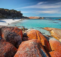 Homelea Accommodation - Accommodation Mooloolaba