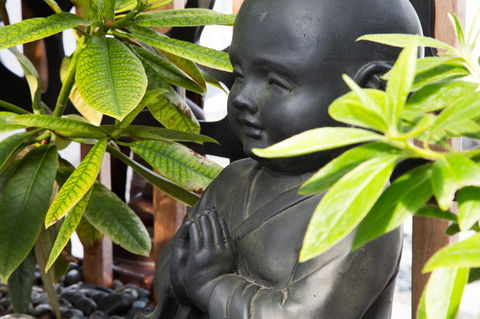 Bakers Retreat - Accommodation Mooloolaba 12