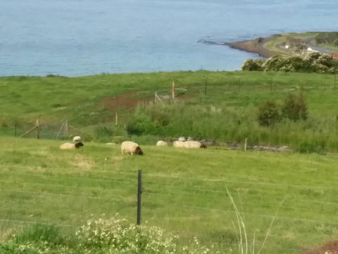 Penguin Seaside Farm - Accommodation Mooloolaba 7