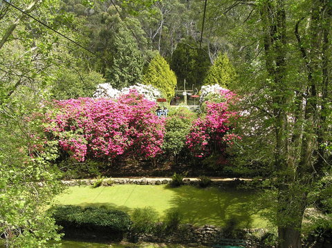 Auldington Hotel - Accommodation Mooloolaba 23