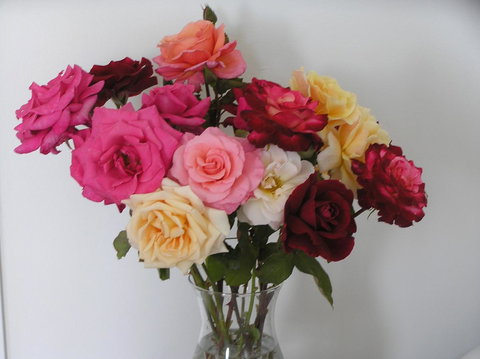 Auldington Hotel - Accommodation Mooloolaba 30