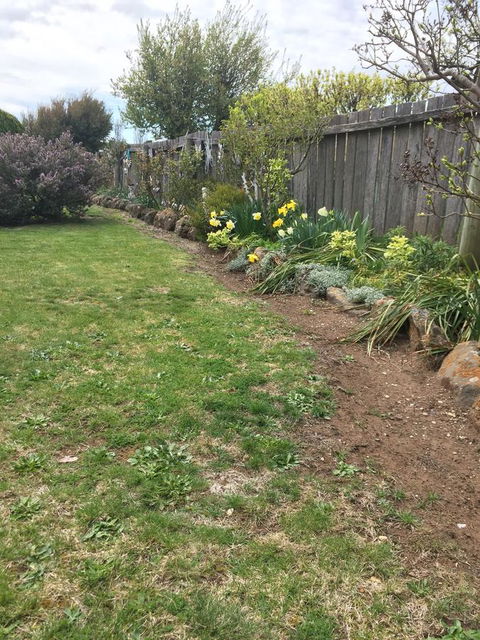 Our Cottage - Accommodation Mooloolaba 3