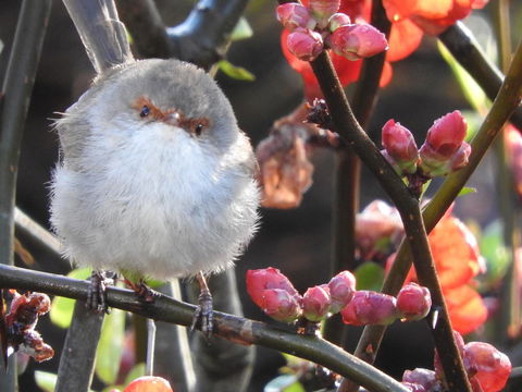 Tamar House - Accommodation Mooloolaba 17