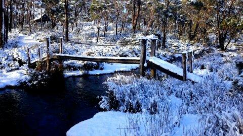 Cradle Mountain Love Shack - Accommodation Mooloolaba 10