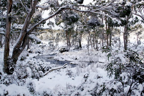 Cradle Mountain Love Shack - Accommodation Mooloolaba 11