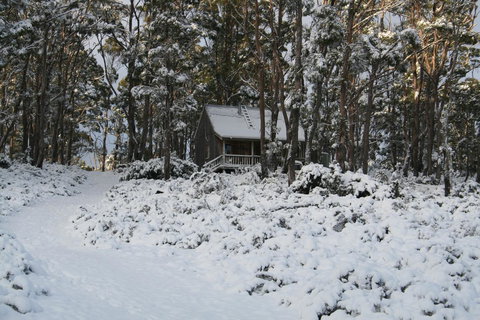 Cradle Mountain Love Shack - Accommodation Mooloolaba 7
