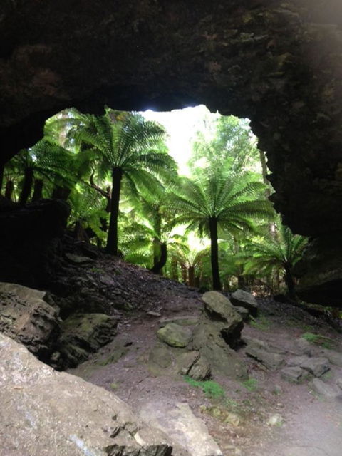 Sheer Pleasure Accommodation - Accommodation Mooloolaba 21