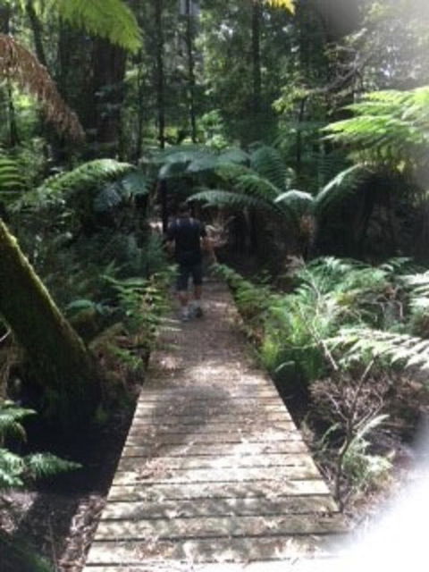 Sheer Pleasure Accommodation - Accommodation Mooloolaba 23